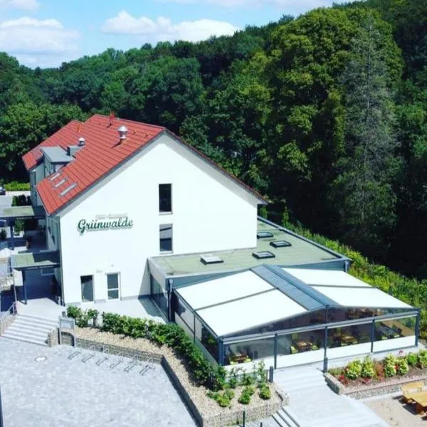 Hotel Grünwalde，位于哈雷威斯特法伦的酒店