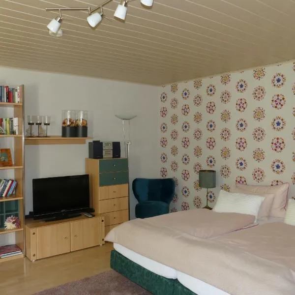 Land und Leute - Landleben Apartment，位于弗里茨拉尔的酒店