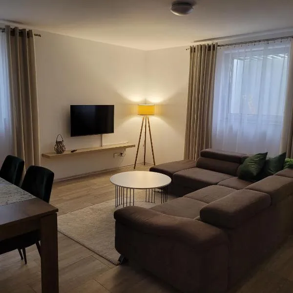 Apartament Kaszubski Przystanek，位于Donimierz的酒店