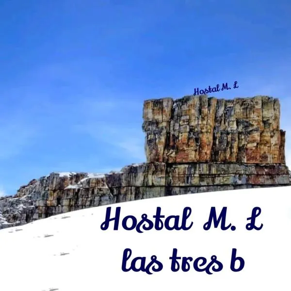 Hostal ML LAS TRES B，位于Güicán的酒店