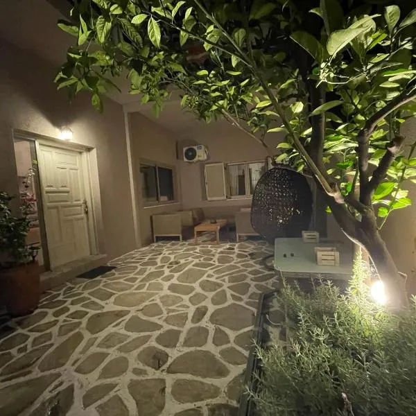 Lemon Tree Apartment，位于斯基亚索斯镇的酒店
