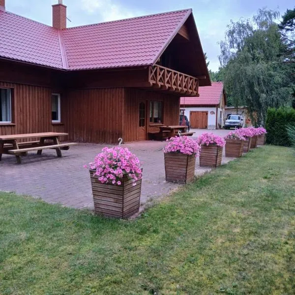 Guest house Vilciņi，位于利耶帕亚的酒店