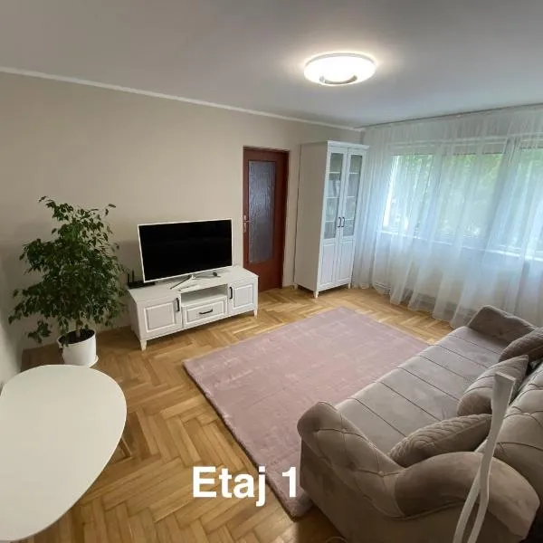 Apartament S26，位于Doljeşti的酒店