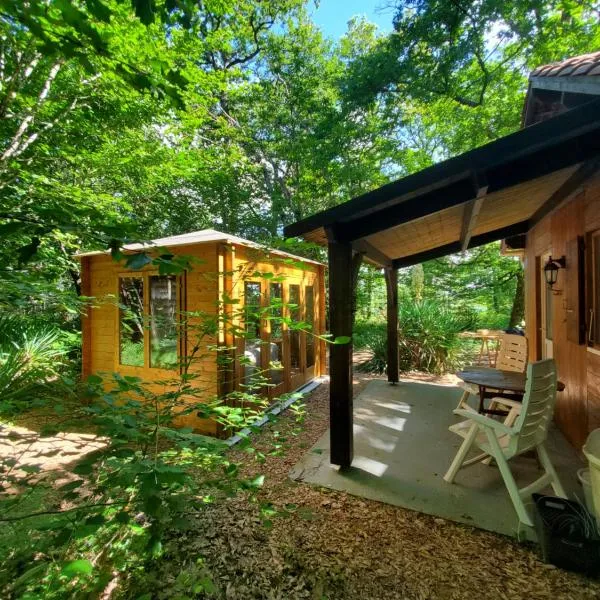 Cabane des bois，位于胡菲涅克的酒店