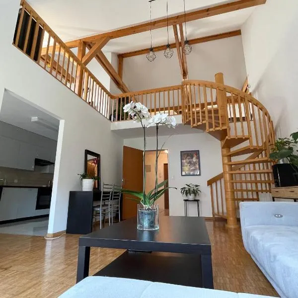 Amazing Duplex in Center Basel!，位于Gempen的酒店