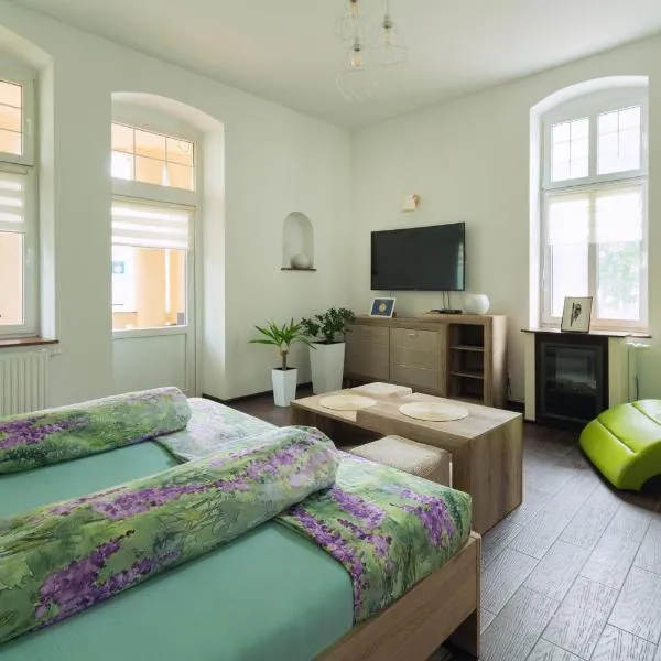 Apartament Ptasie Radio，位于什切齐内克的酒店