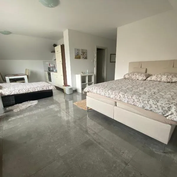 Apartma Azurre，位于波斯托伊纳的酒店