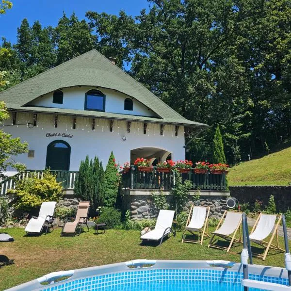 Casă de vacanță Chalet le Cristal，位于索瓦塔的酒店