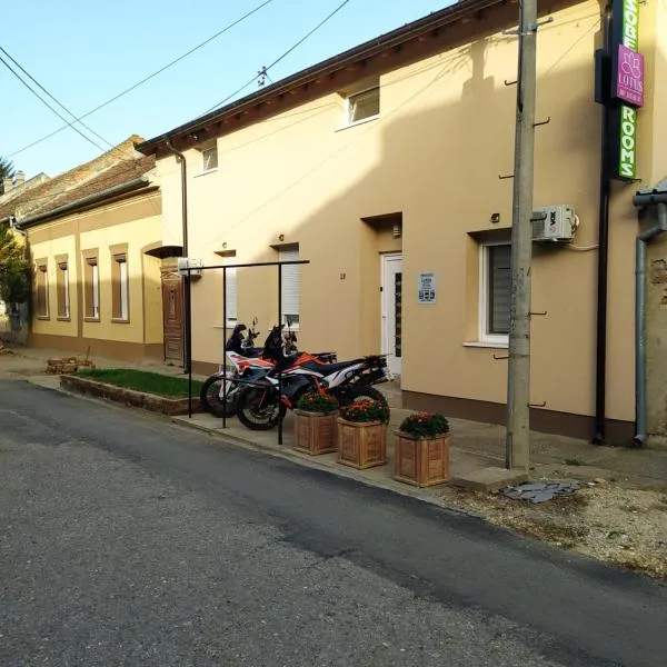 Lotus house，位于兹雷尼亚宁的酒店