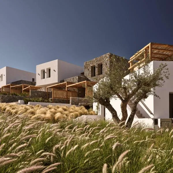Anemelia Hotel Mykonos，位于埃利亚海滩的酒店