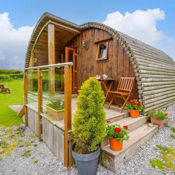 Oak View，位于Llangadog的酒店