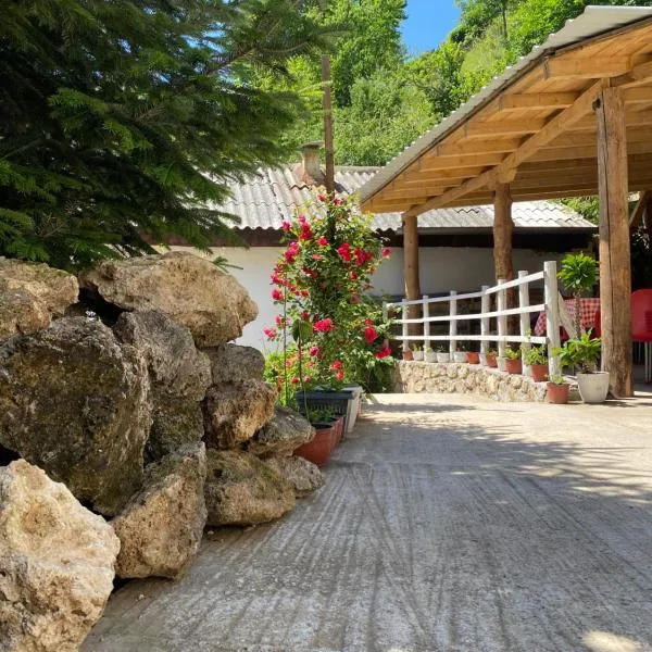 Guest House BOZVILL，位于Bozovce的酒店