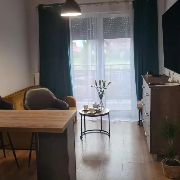 Top Apartament，位于Wilków的酒店