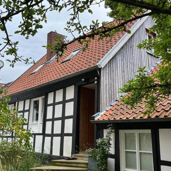 Lateinschule，位于泰克伦堡的酒店