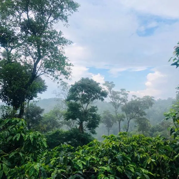 Swapna Estate Stay Coorg，位于马迪凯里的酒店