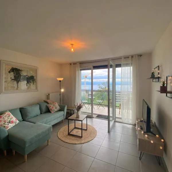 Appartement avec vue imprenable sur le Lac Leman，位于埃维昂莱班的酒店