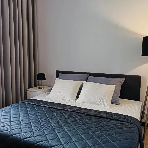 Kings Apartments，位于托伦的酒店