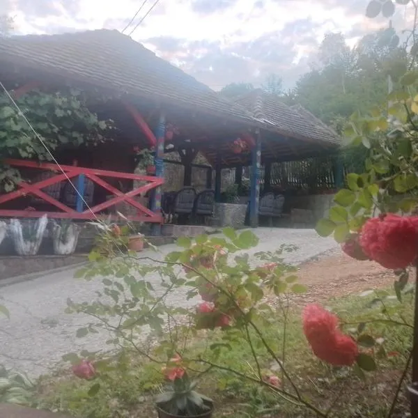 Gvozdena Voda-Viline Vode，位于Zeljići的酒店
