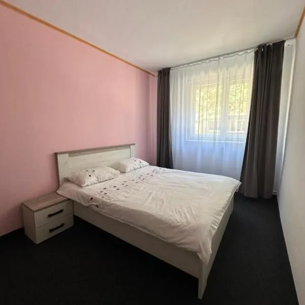 Apartament Pruneanu Central，位于肯皮亚图尔济的酒店