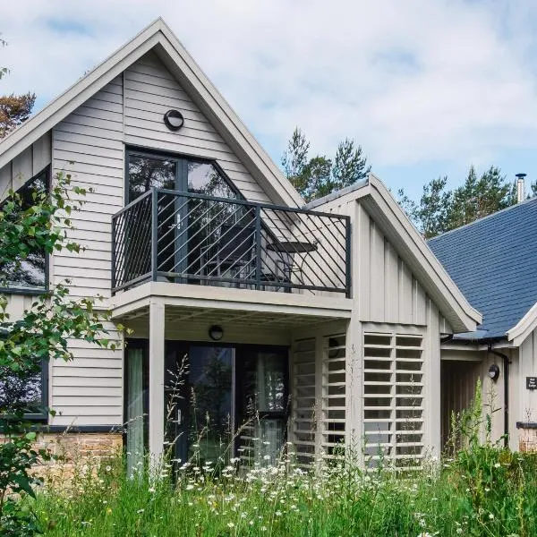 Golden Eagle Lodge，位于金尤西的酒店