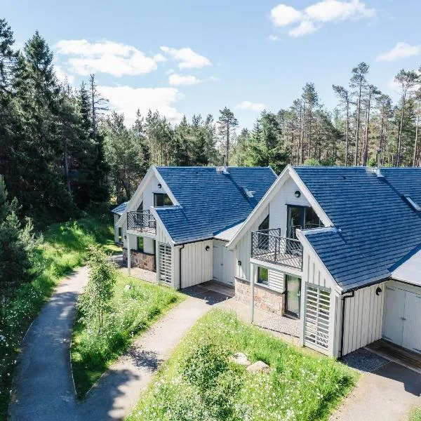 Wildcat Lodge，位于金尤西的酒店