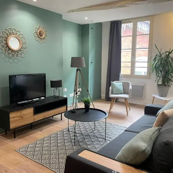 Appartement Cosy-Cœur de Ville，位于阿让的酒店