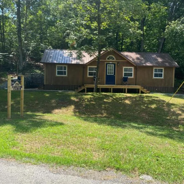 Carlton Cabin at Lake of Egypt 500 Sq Ft，位于Goreville的酒店