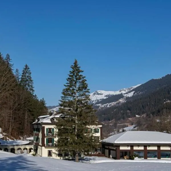 Davos-Serneus Water Resort - BAD SERNEUS HOTEL，位于圣安特尼恩的酒店