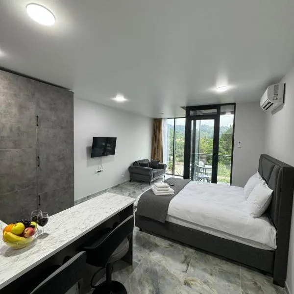 Tropical garden apartments，位于巴统的酒店