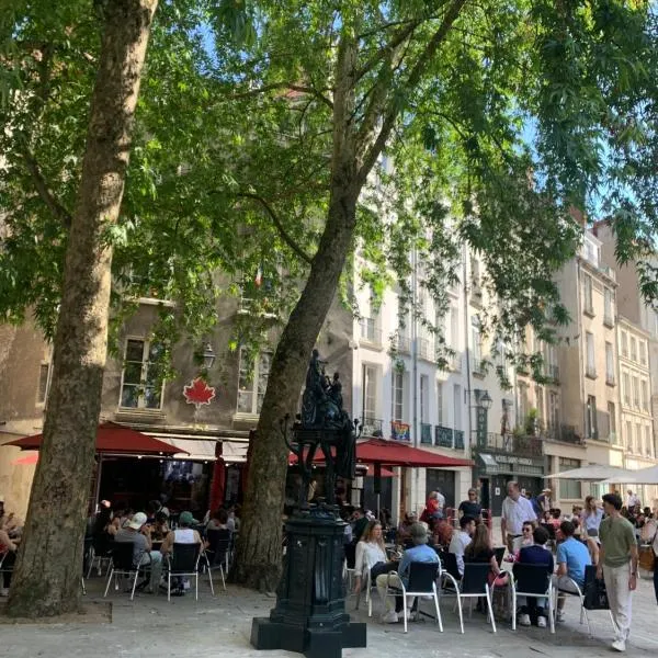 Hôtel Saint-Patrick Cœur de NANTES，位于南特的酒店