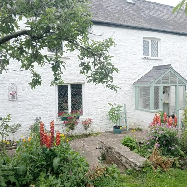 Ty Gwyn Farmhouse，位于Llanspyddid的酒店