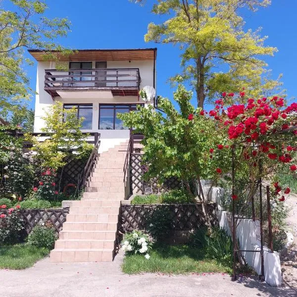 Casa de Vacanta Simfonia Apelor，位于杜纳厄图德乔斯的酒店