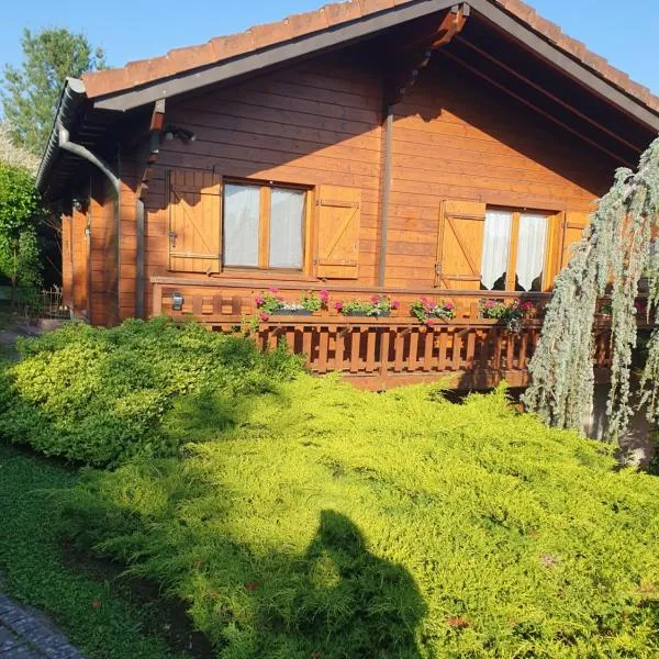 Le petit chalet de campagne，位于Richeling的酒店