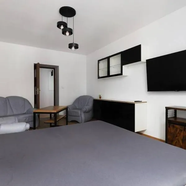 Przyjazny Apartament w Będzinie，位于本津的酒店