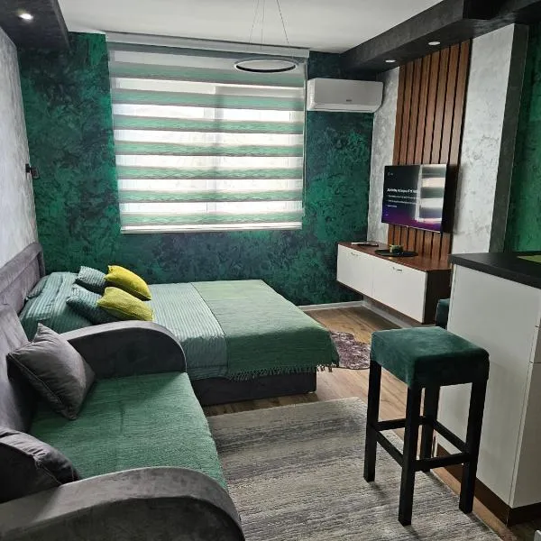 Apartman Aleksandar 2,位于新瓦罗什的酒店