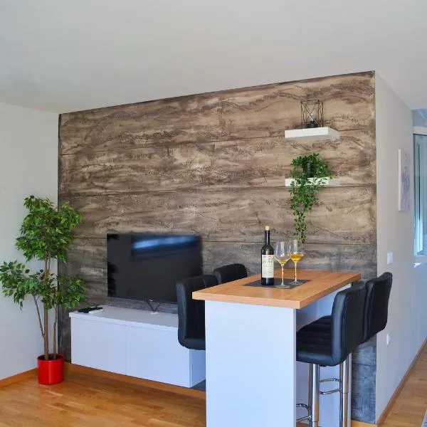 Penthaus apartman NOVAK，位于Vrnjci的酒店
