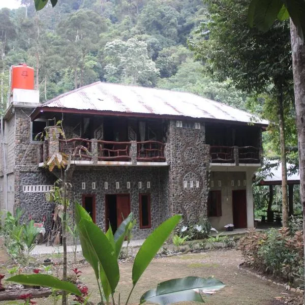 Rinte Green Village & Bukit Lawang Jungle Trekking，位于武吉拉旺的酒店