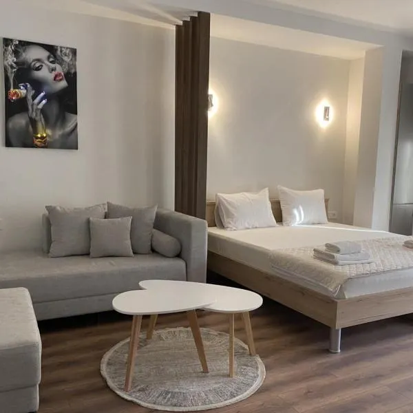 Valentina Apartament，位于内戈蒂诺的酒店