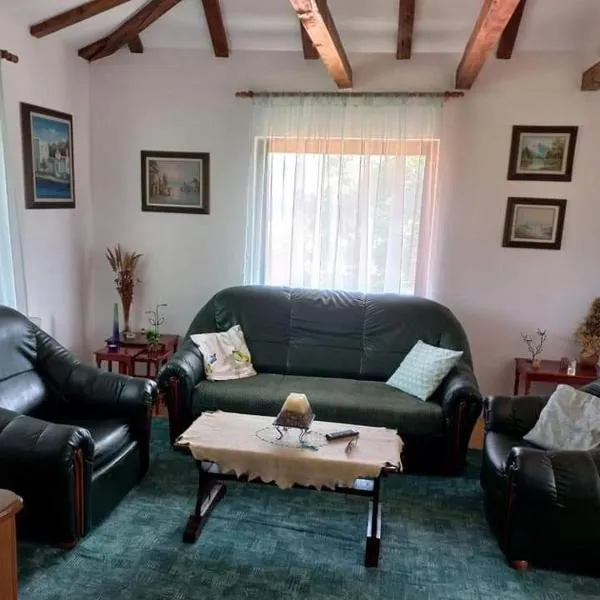 Zoja Apartman Vlasinsko Jezero，位于Šerdanova Mahala的酒店