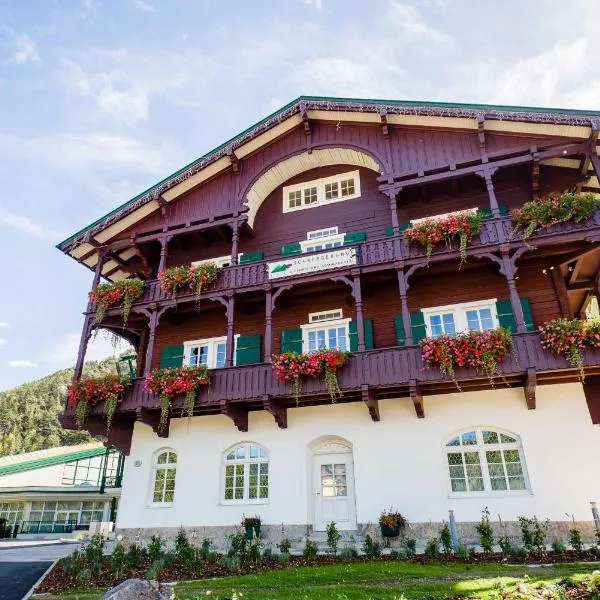 舒尼贝尔格霍夫酒店，位于Schwarzau im Gebirge的酒店