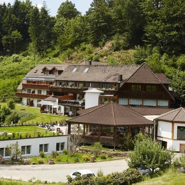 凯普欧霍夫酒店，位于Kirnbach的酒店