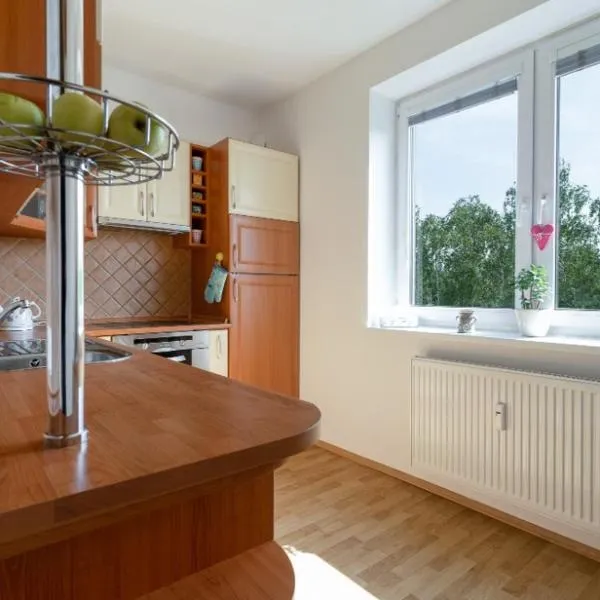 Apartmán Na Rozhledně，位于Slatiňany的酒店