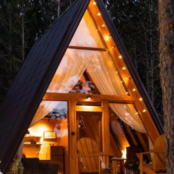 Forest House A Frame，位于Risovac的酒店