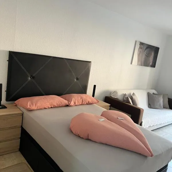 Jolana apartment Los Cristianos，位于洛斯克里斯蒂亚诺斯的酒店