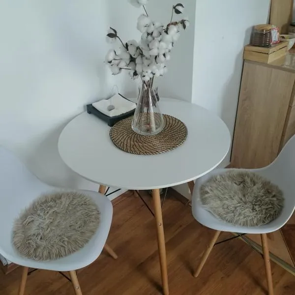 Apartman Vana，位于旧帕佐瓦的酒店