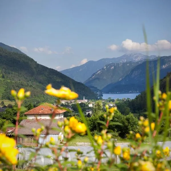 Agritur LA DASA，位于加尔达湖滨的酒店