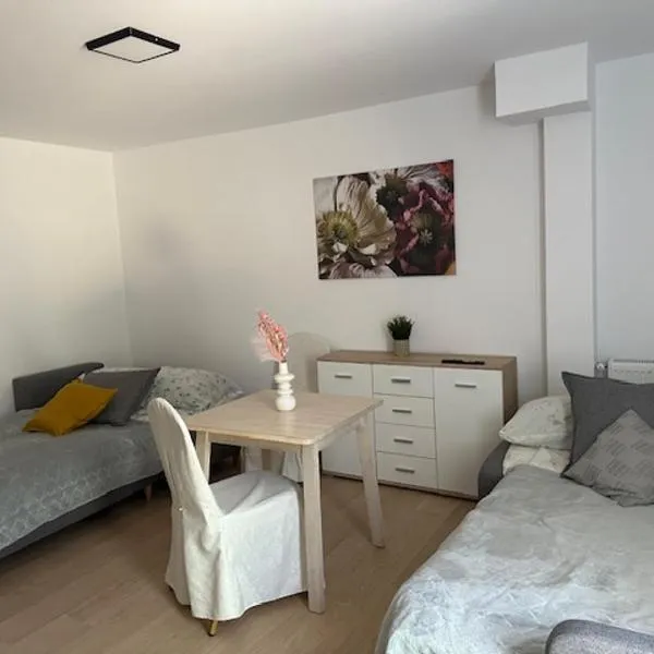 Apartament nr 1 lub 2 przy Sali Kominkowej，位于米尔泽希塞的酒店