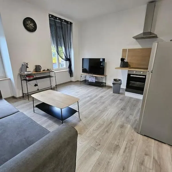 Appartement Saint-Vallier 71，位于圣瓦利耶的酒店