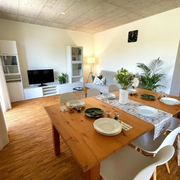 Ferienwohnung Grüner Ausblick，位于埃尔察赫的酒店