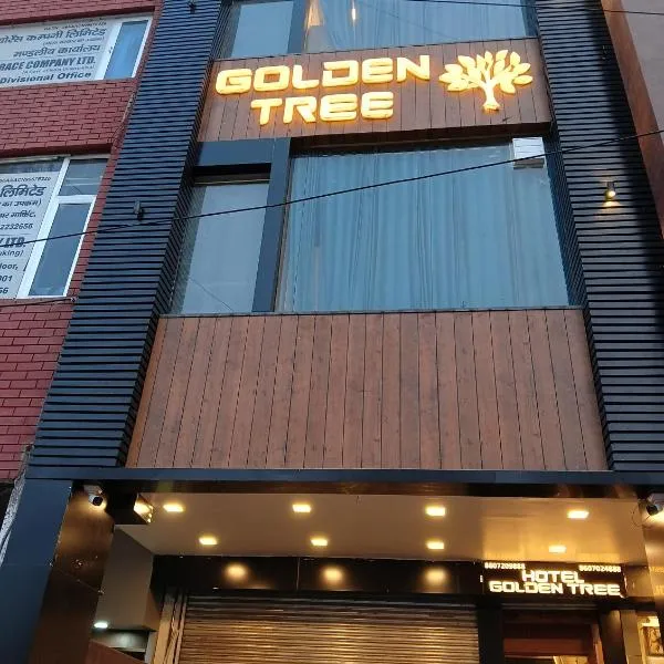Hotel golden tree，位于希萨尔的酒店